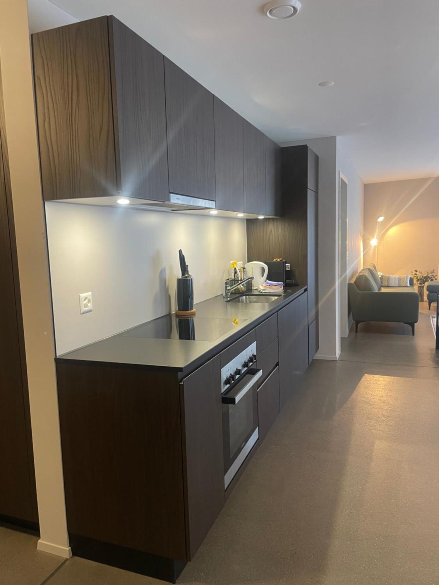 Modern City Apartments Interlaken Exterior photo